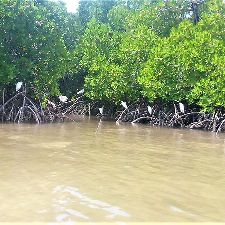 Mida Creek Nature Camp วาตามู ภายนอก รูปภาพ