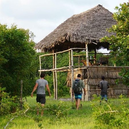 Mida Creek Nature Camp วาตามู ภายนอก รูปภาพ