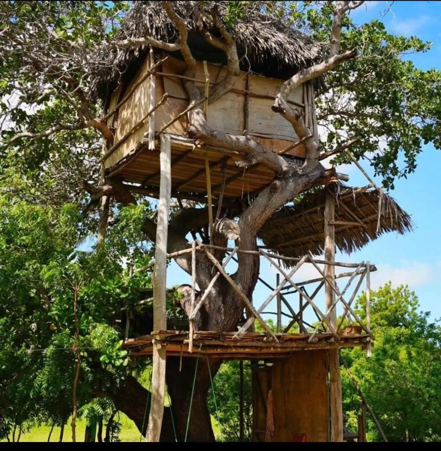 Mida Creek Nature Camp วาตามู ภายนอก รูปภาพ