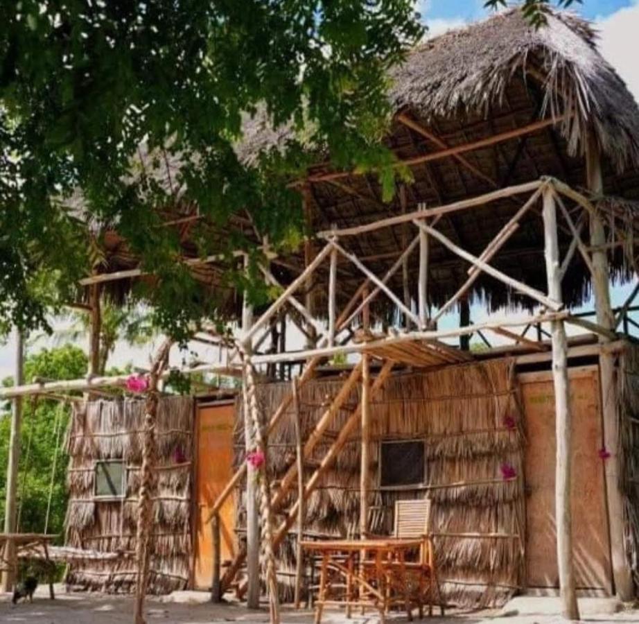 Mida Creek Nature Camp วาตามู ภายนอก รูปภาพ