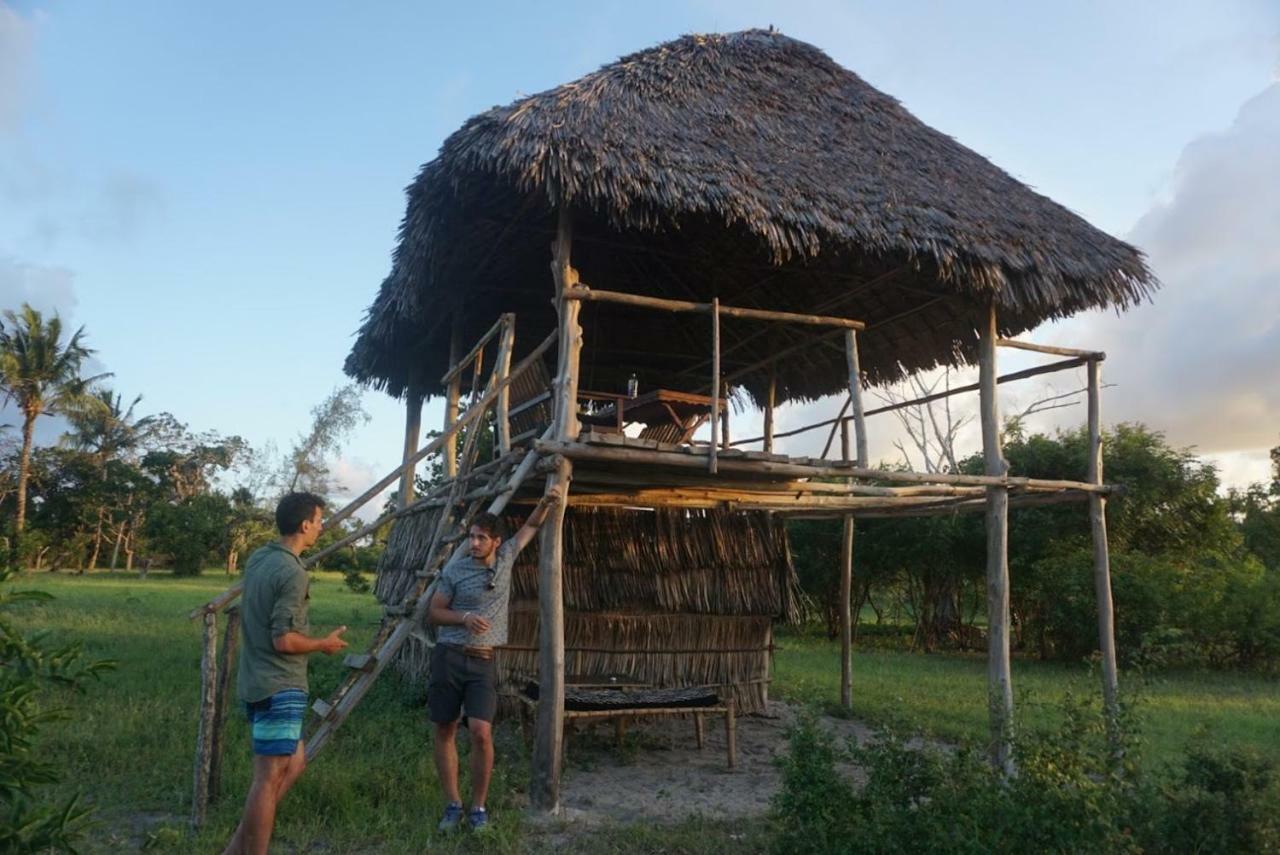Mida Creek Nature Camp วาตามู ภายนอก รูปภาพ