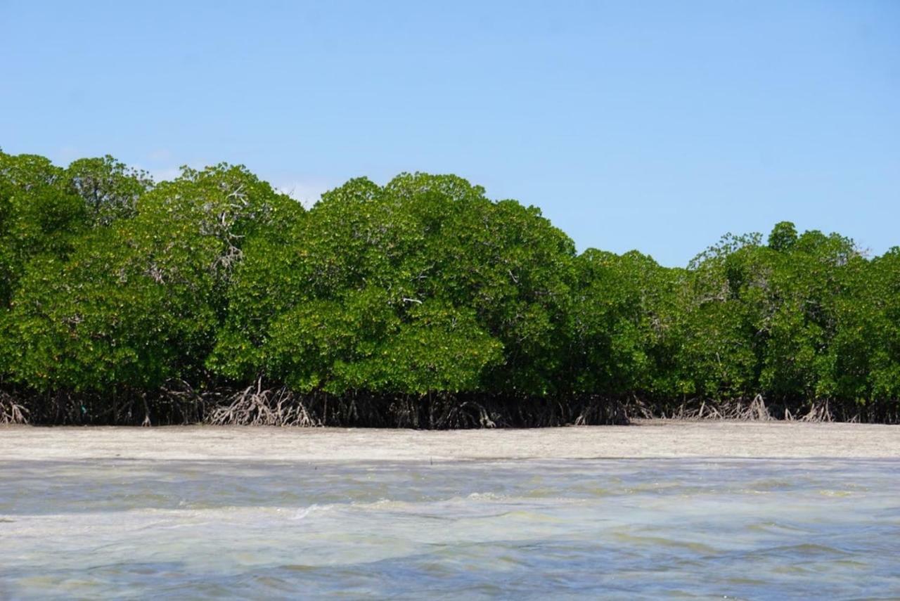 Mida Creek Nature Camp วาตามู ภายนอก รูปภาพ