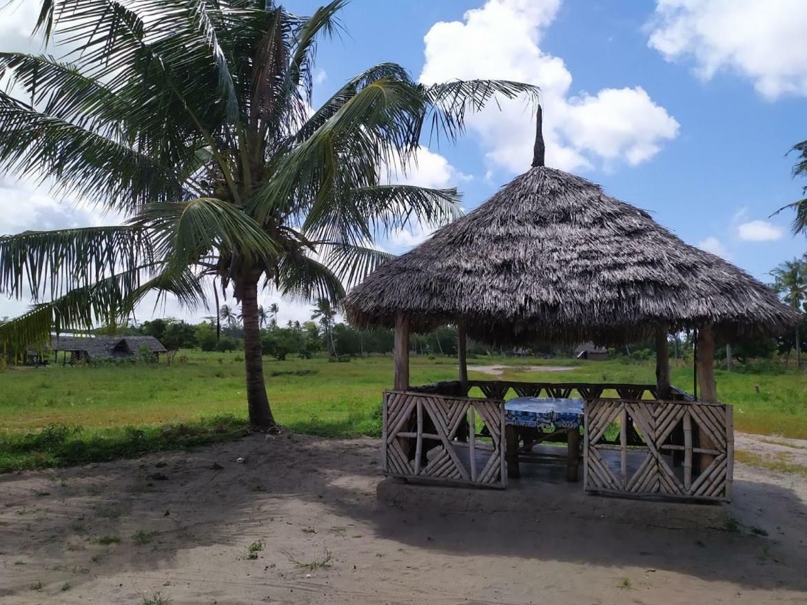 Mida Creek Nature Camp วาตามู ภายนอก รูปภาพ