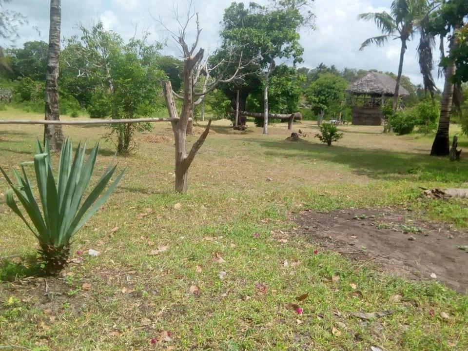Mida Creek Nature Camp วาตามู ภายนอก รูปภาพ