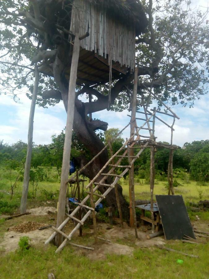 Mida Creek Nature Camp วาตามู ภายนอก รูปภาพ