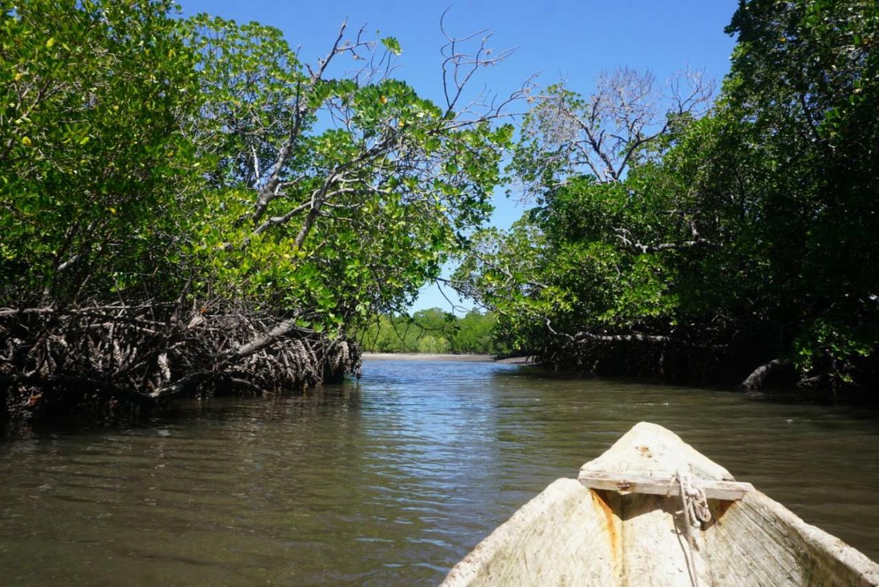 Mida Creek Nature Camp วาตามู ภายนอก รูปภาพ