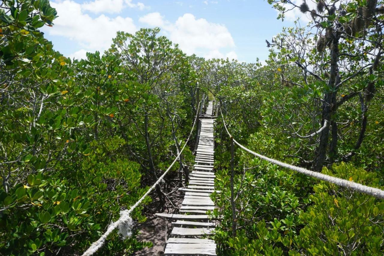 Mida Creek Nature Camp วาตามู ภายนอก รูปภาพ