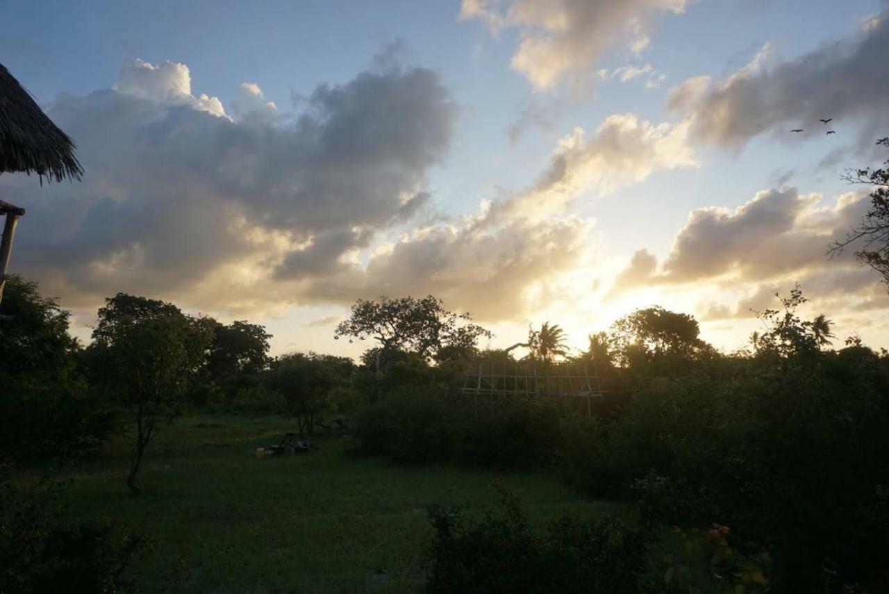 Mida Creek Nature Camp วาตามู ภายนอก รูปภาพ