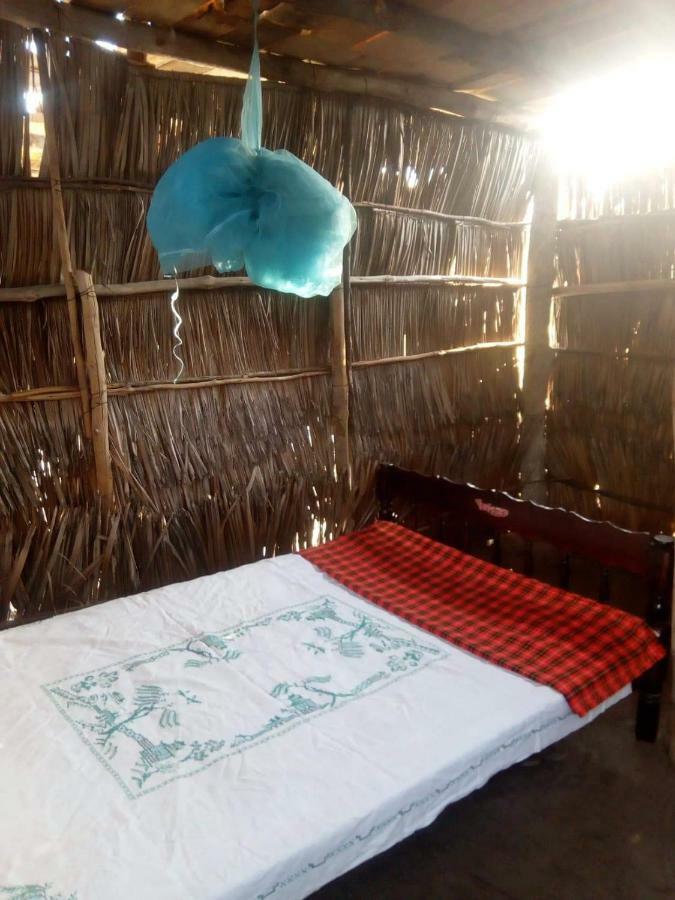 Mida Creek Nature Camp วาตามู ภายนอก รูปภาพ