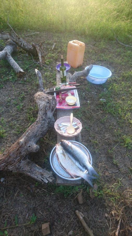 Mida Creek Nature Camp วาตามู ภายนอก รูปภาพ