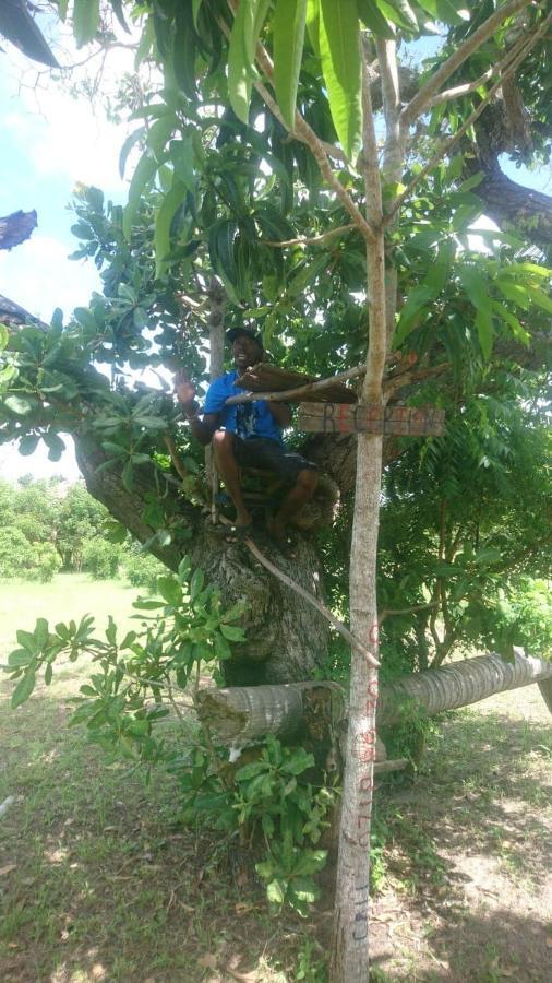 Mida Creek Nature Camp วาตามู ภายนอก รูปภาพ