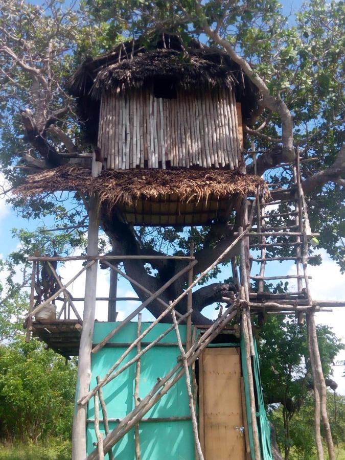 Mida Creek Nature Camp วาตามู ภายนอก รูปภาพ
