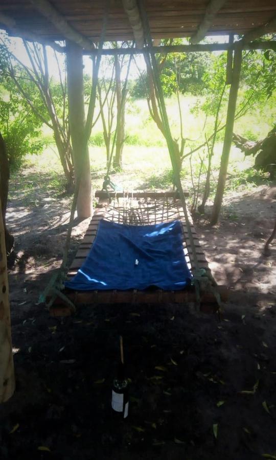 Mida Creek Nature Camp วาตามู ภายนอก รูปภาพ