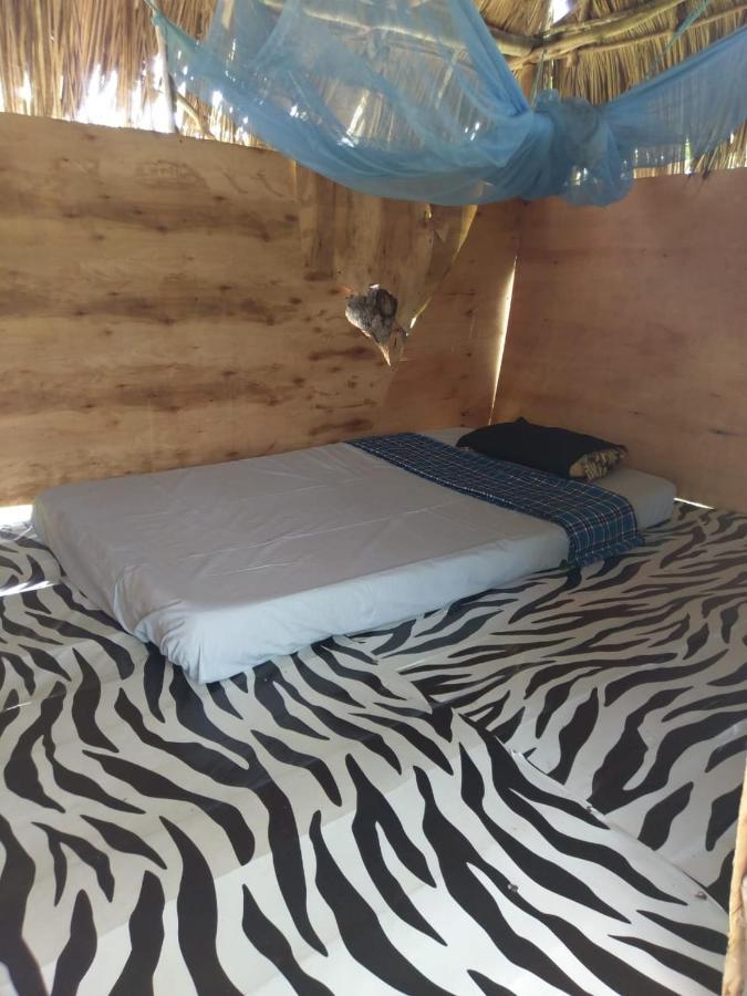 Mida Creek Nature Camp วาตามู ภายนอก รูปภาพ