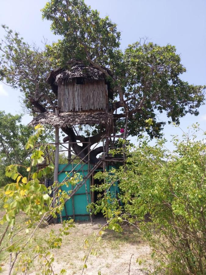 Mida Creek Nature Camp วาตามู ภายนอก รูปภาพ